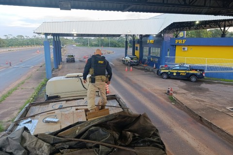 PRF apreende 600 mil maços de cigarros de origem estrangeira na BR-163, em Guaíra