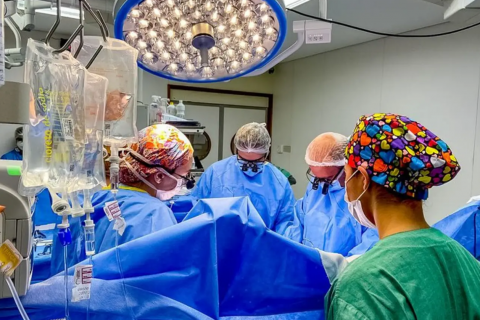 Macrorregionalização: Ministério da Saúde redefine distribuição de órgãos para transplantes